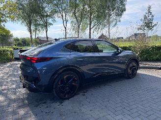 Cupra Tavascan  picture 21