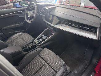 Audi A3 A3 Sportback 30 TFSI DSG 2x S line PANO Camera VOL! picture 24
