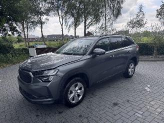 škoda osobní automobily Skoda Kodiaq Skoda Kodiaq 1.5 TSI mHEV 150ps Selection Ambiance Trekhaak Leer VOL 2025/1