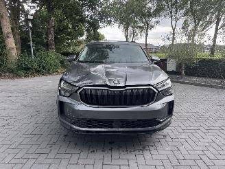 Skoda Kodiaq Skoda Kodiaq 1.5 TSI mHEV 150ps Selection Ambiance Trekhaak Leer VOL picture 12