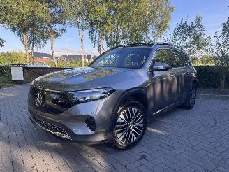 Mercedes EQB EQB 250+ PANORAMA Ambiance AMG Trekhaak Camera VOL picture 24