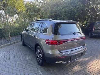 Mercedes EQB EQB 250+ PANORAMA Ambiance AMG Trekhaak Camera VOL picture 12