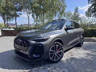 Audi Q5 Q5 2.0 e-hybrid 3xS-line Quattro 220 kW PANORAMA 360view VOL VOL picture 10