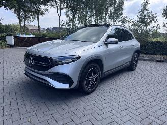 Mercedes EQA EQA 250+ AMG Panorama Camera Trekhaak Ambiance VOL picture 14