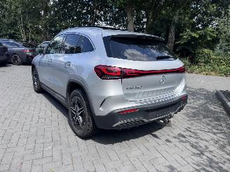 Mercedes EQA EQA 250+ AMG Panorama Camera Trekhaak Ambiance VOL picture 20