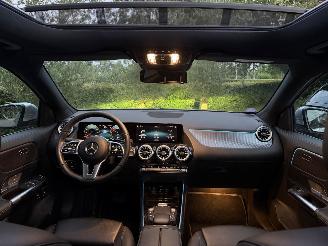Mercedes GLA GLA 250 e PANORAMA AHK Ambiance ACC Leder VOLL picture 7