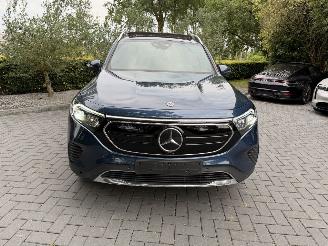 Mercedes EQB EQB 250+ AMG  7 Persoons PANORAMA Ambiance Camera ! picture 24