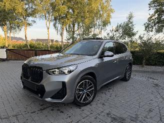 BMW iX1 iX1 30 xDrive M Sport PANO HUD Frozen-Grey VOLL picture 20