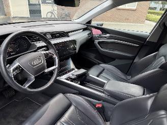Audi E-tron E-tron 55 Quattro S-Line Virtual Mirrors Trekhaak Camera Leer  VOL picture 10