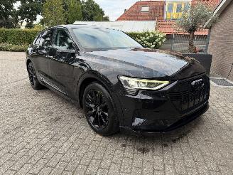 Audi E-tron E-tron 55 Quattro S-Line Virtual Mirrors Trekhaak Camera Leer  VOL picture 19