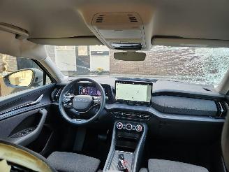 Skoda Kodiaq SKODA Kodiaq 1.5 TSI mHEV 110 kW 7 Persoons! Camera Ambiance VOL picture 4
