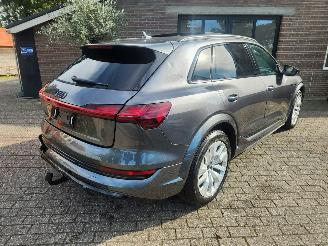 Audi E-tron AUDI E-tron S Quattro PANORAMA Sport Sitze Leder VOL picture 2