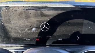 Mercedes GLE GLE 53 AMG PANORAMA Trekhaak Leder 360 view Ambiance! picture 31