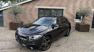 Mercedes GLA GLA 250e AMG PANORAMADAK HUD Burmeister 360view picture 17