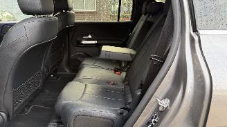 Mercedes EQB EQB 300+ 4Matic 7 Sitzer Ambiance Leder Camera picture 18