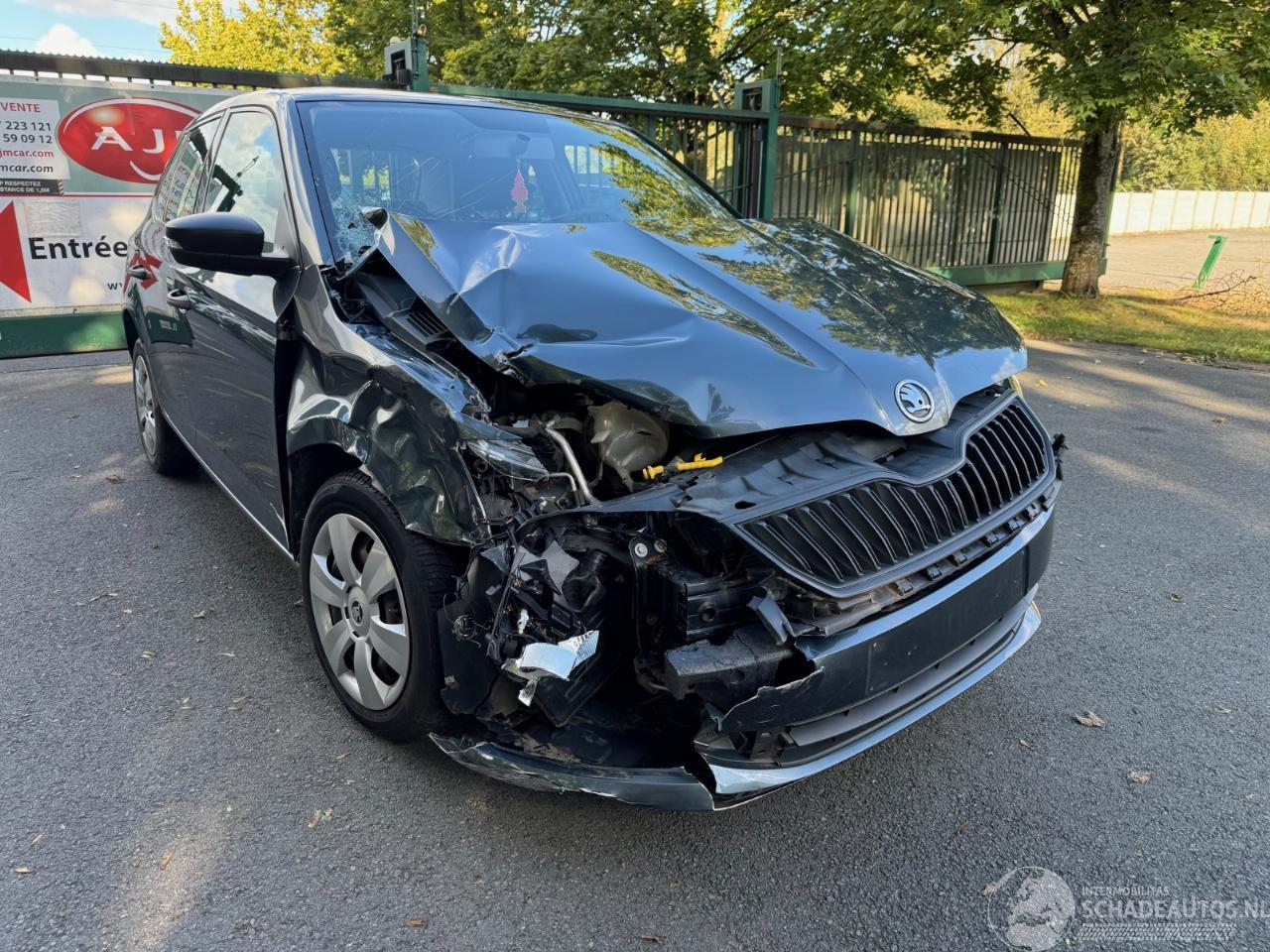 Skoda Fabia 1ER PROPRIéTAIRE