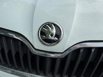 Skoda Rapid  picture 16