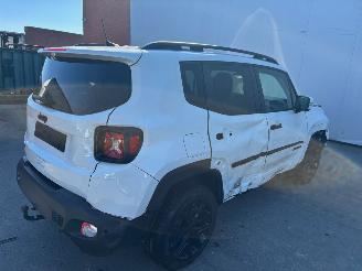 Jeep Renegade 4X4 picture 5