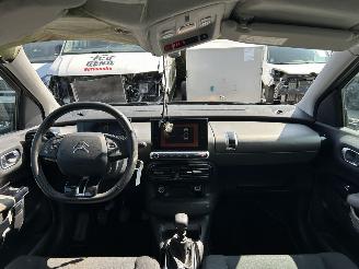 Citroën C4 cactus  picture 6