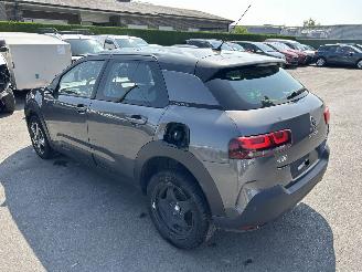 Citroën C4 cactus  picture 4