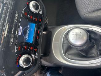 Nissan Juke  picture 11