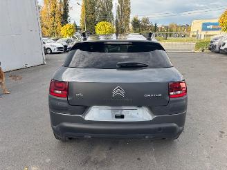 Citroën C4 cactus AUTOMAAT picture 2