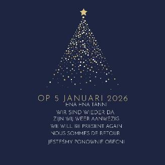 Schadeauto Alfa Romeo 1750  2026/1