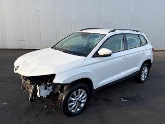 Skoda Karoq AUTOMAAT picture 4