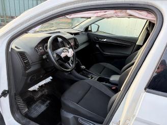 Skoda Karoq AUTOMAAT picture 9