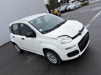 Auto incidentate Fiat Panda  2022/8