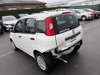 Fiat Panda  picture 3