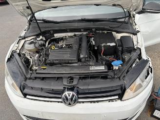 Volkswagen Golf CUP picture 8