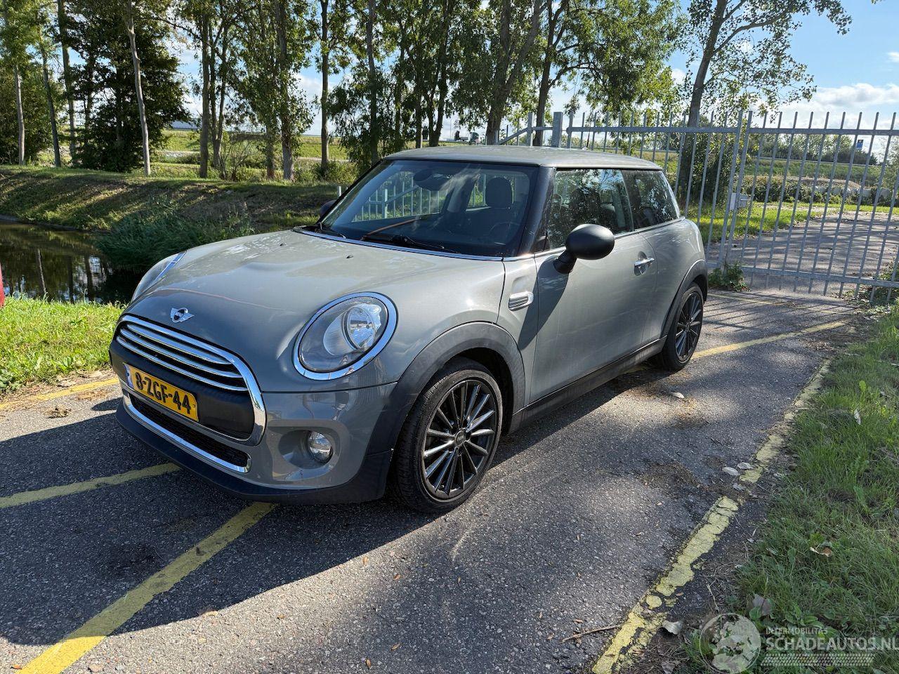 Mini One 1.2 Salt Business