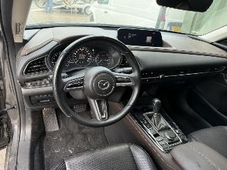 Mazda CX-30 2.0 e-SkyActiv-X M Hybrid Luxury picture 12