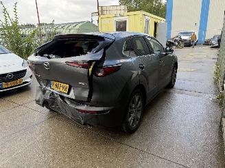 Mazda CX-30 2.0 e-SkyActiv-X M Hybrid Luxury picture 5