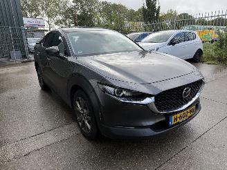 Mazda CX-30 2.0 e-SkyActiv-X M Hybrid Luxury picture 6