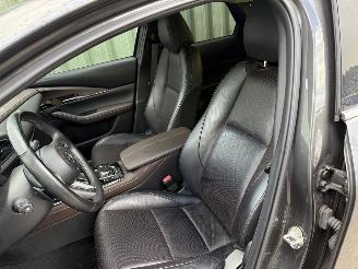 Mazda CX-30 2.0 e-SkyActiv-X M Hybrid Luxury picture 11