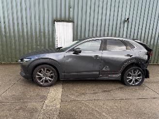 Mazda CX-30 2.0 e-SkyActiv-X M Hybrid Luxury picture 2