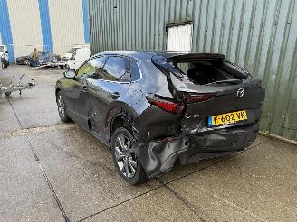 Mazda CX-30 2.0 e-SkyActiv-X M Hybrid Luxury picture 3