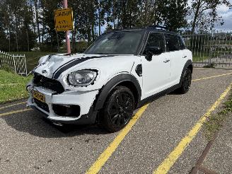 Schadeauto Mini Countryman COOPER 1.5 Chili 2019/8