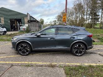 Cupra Formentor 1.5 TSI picture 2