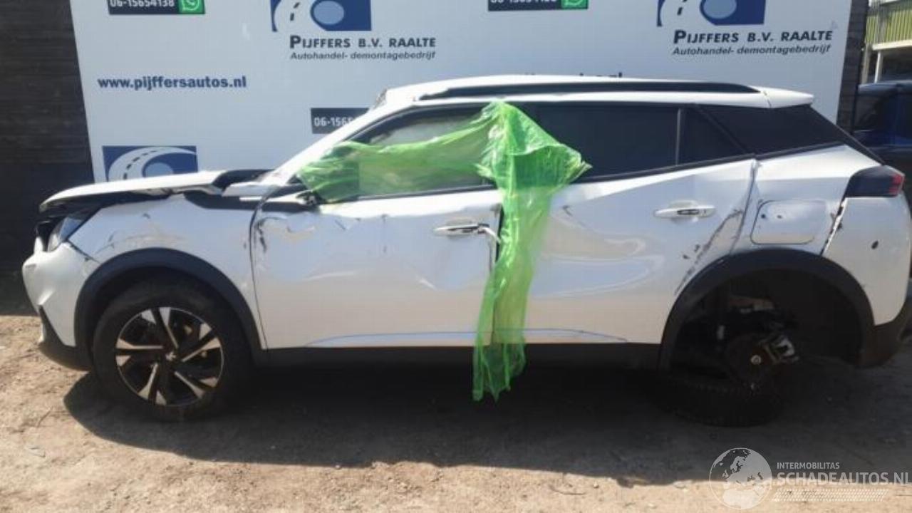 Peugeot 2008 2008 (UD/UK/UR/US/UX), MPV, 2019 1.2 VTi 12V PureTech 130