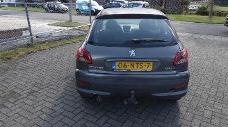 Peugeot 206+ distributieriem eraf gelopen picture 6