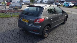 Peugeot 206+ distributieriem eraf gelopen picture 7