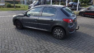 Peugeot 206+ distributieriem eraf gelopen picture 3