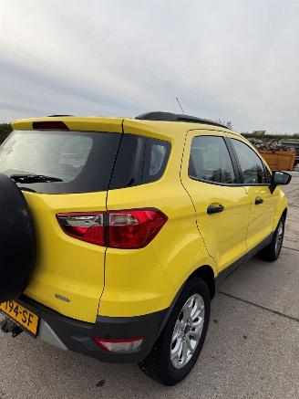 Ford EcoSport  picture 6