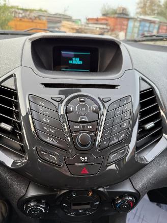 Ford EcoSport  picture 17