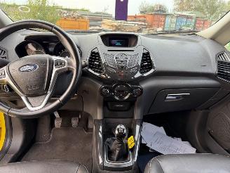 Ford EcoSport  picture 13