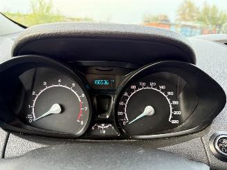 Ford EcoSport  picture 18
