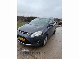 Ford Grand C-Max Grand C-Max (DXA), MPV, 2010 / 2019 1.0 Ti-VCT EcoBoost 12V 125 picture 3